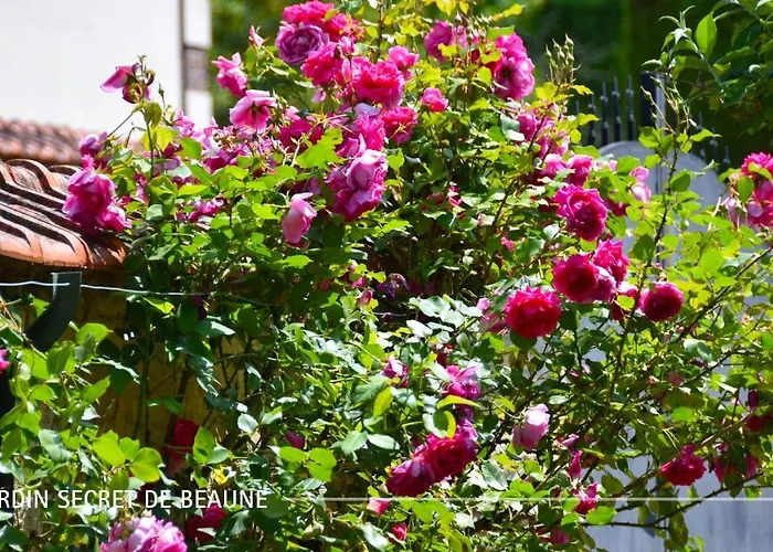 Le Jardin Secret De * Beaune (Cote d'Or)